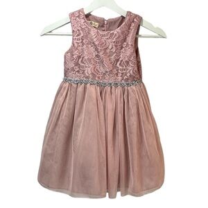 Purple Rose Girl's Pink Sleeves Lace Top Tulle Skirt Dress Size 6